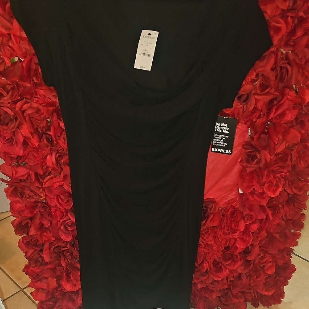 Express NWT Elegant Black Front Ruched Dress